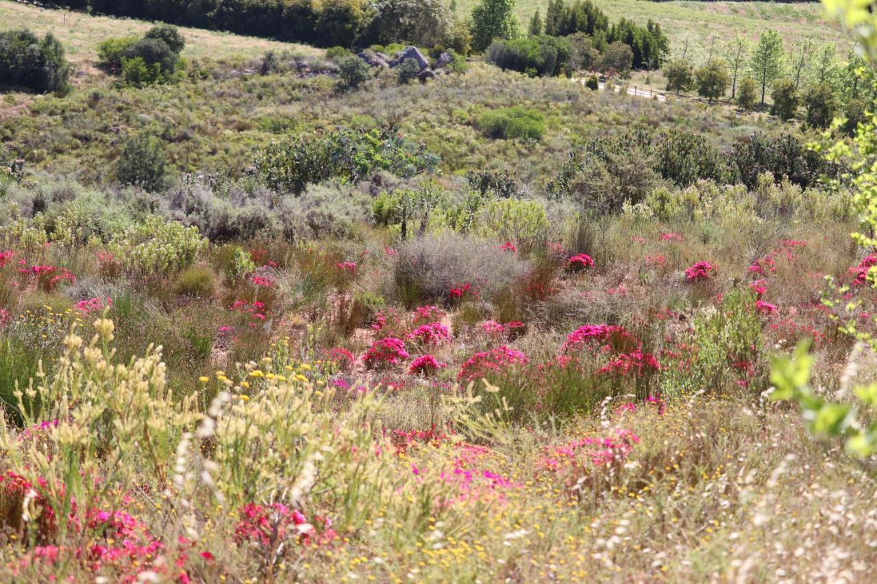 Highlands Eco Estate Hotell Piketberg Exteriör bild